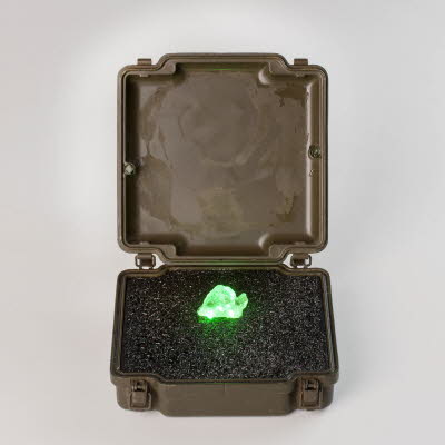 Fukushima Souvenir 2