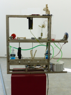 Vanitas Bewegtleben